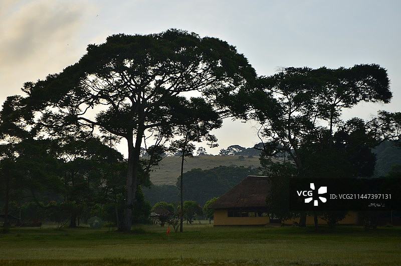 维多利亚湖上的ssese islands图片素材