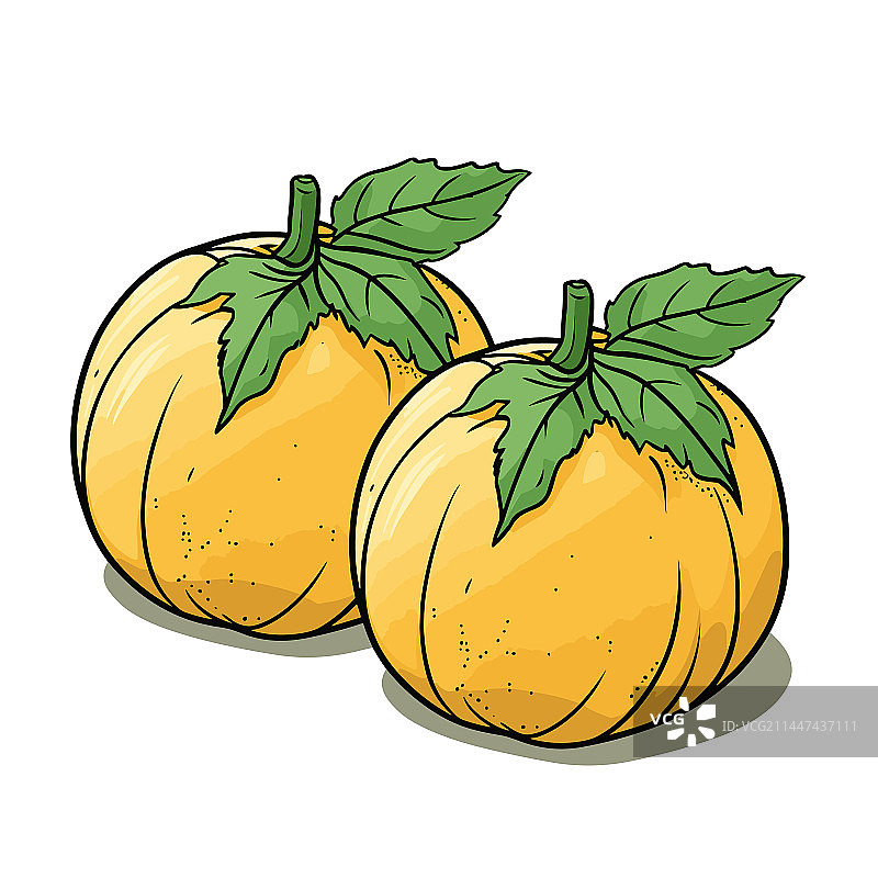 手绘哈密瓜涂鸦图片素材