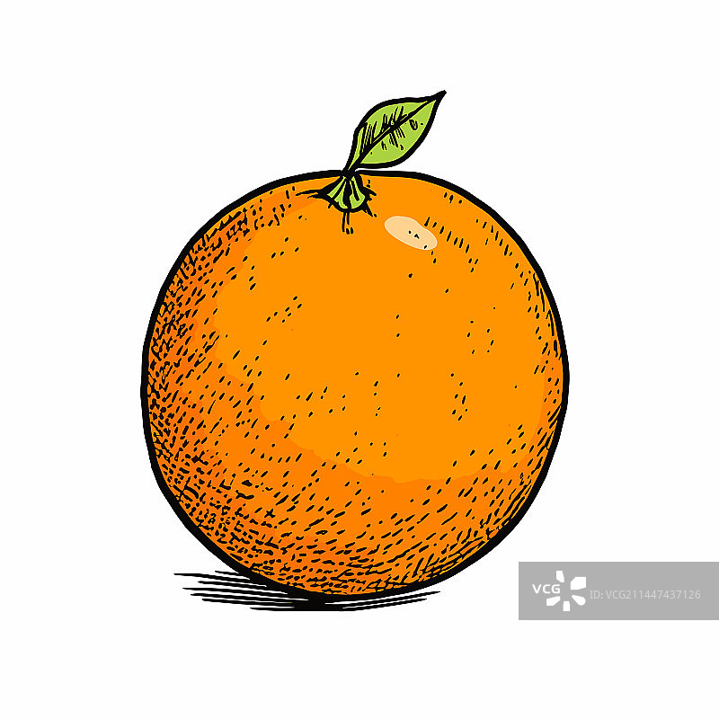 手绘橙色涂鸦风格卡通图片素材