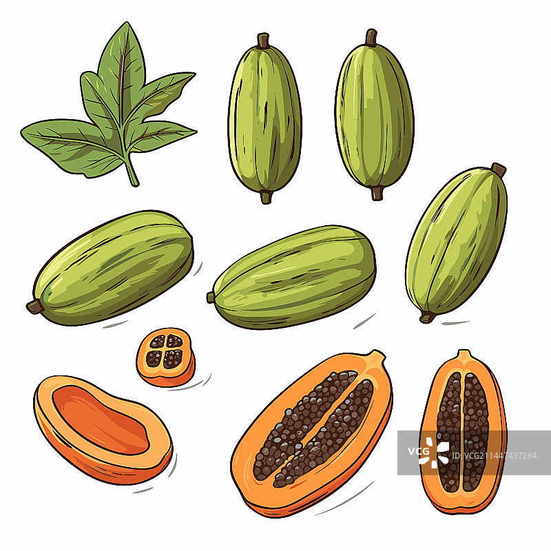 手绘木瓜涂鸦风格卡通图片素材