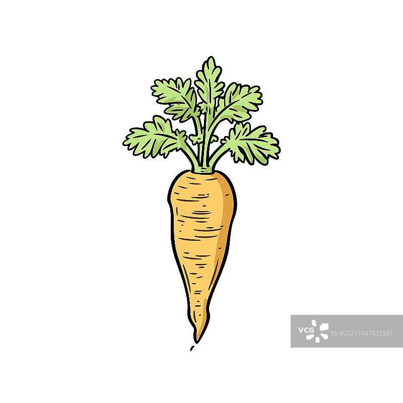 手绘欧洲萝卜涂鸦风格卡通图片素材