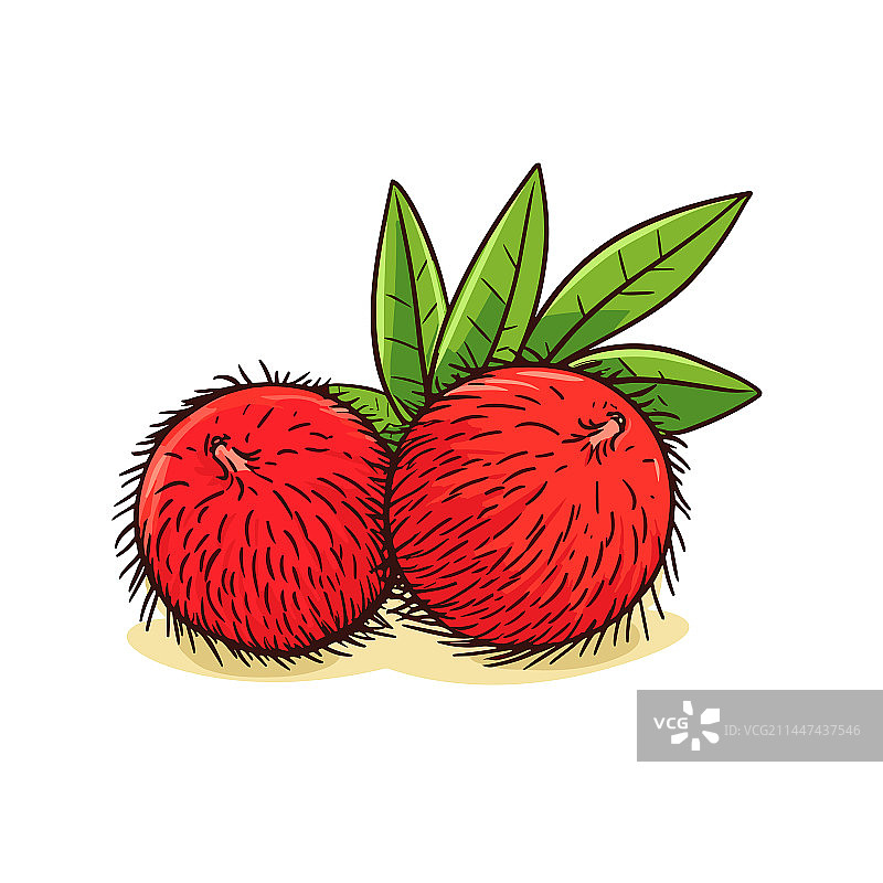 手绘红毛丹涂鸦风格卡通图片素材