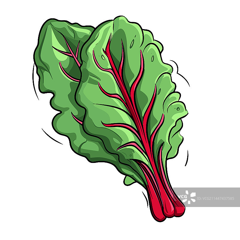 手绘瑞士甜菜涂鸦图片素材