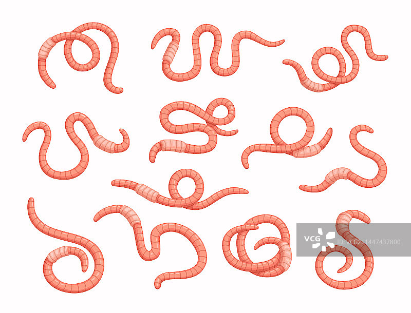 卡通蠕虫图片素材