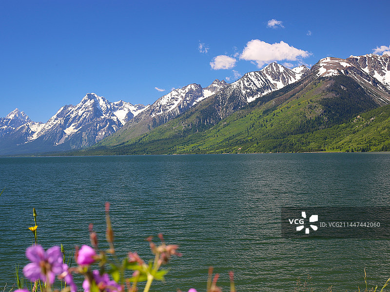 美国大提顿国家公园图片素材