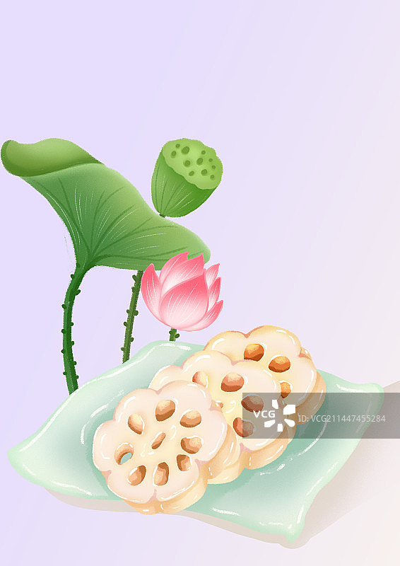 二十四节气小暑莲藕图片素材