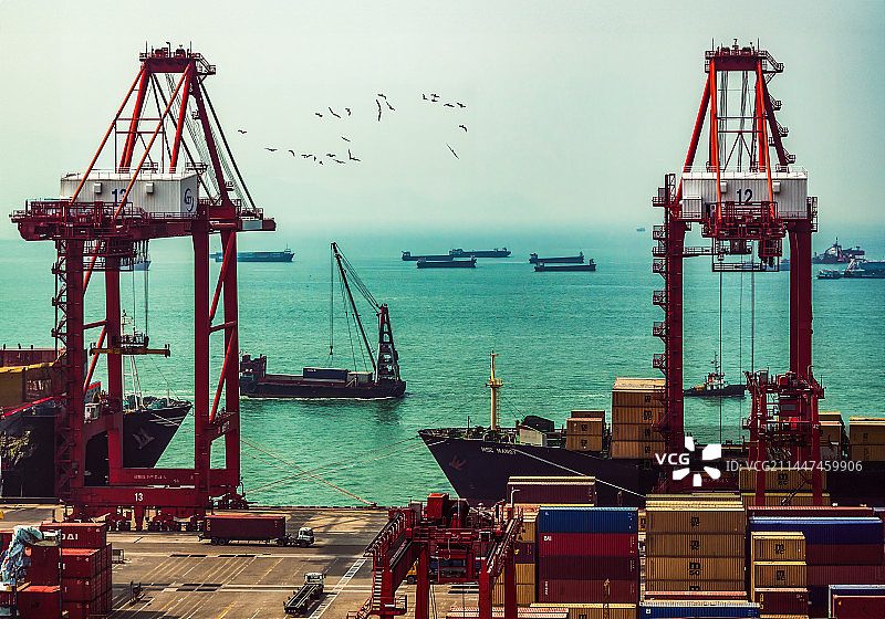 蛇口码头图片素材