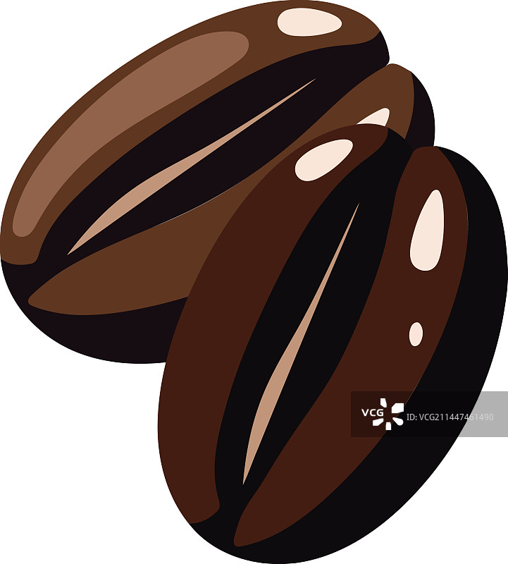 新鲜的天然美食咖啡豆图片素材