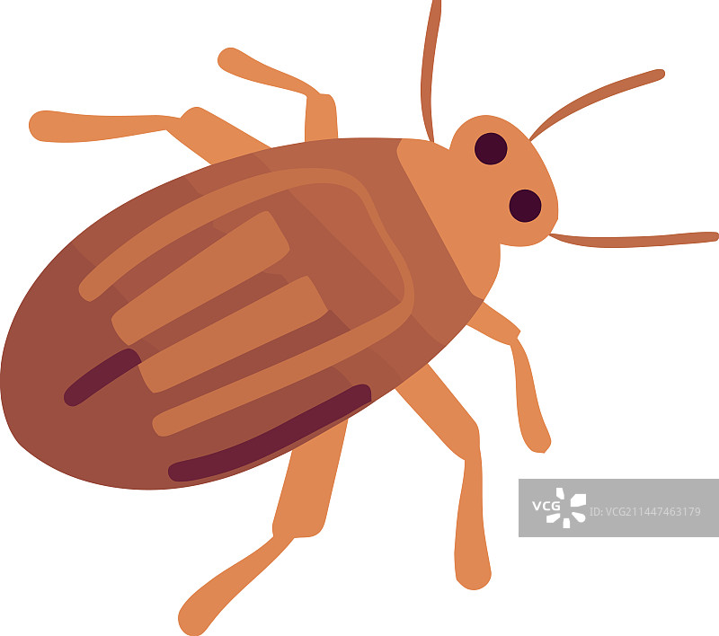 白色背景上的小昆虫标志图片素材