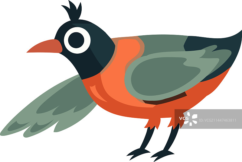 长着彩色羽毛的可爱小鸟图片素材