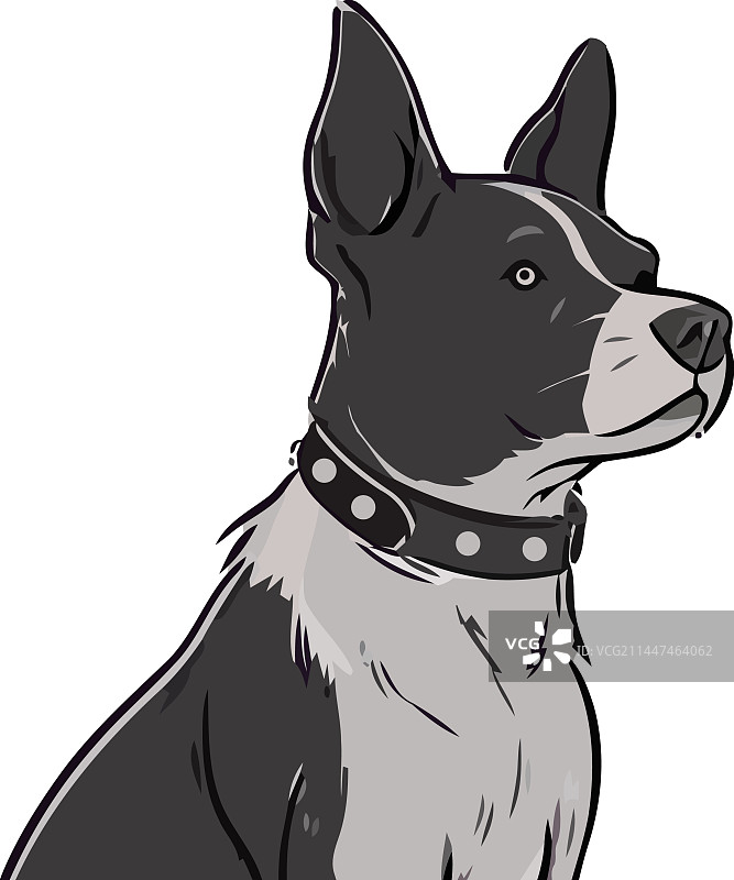 忠诚的小狗，可爱又开朗图片素材