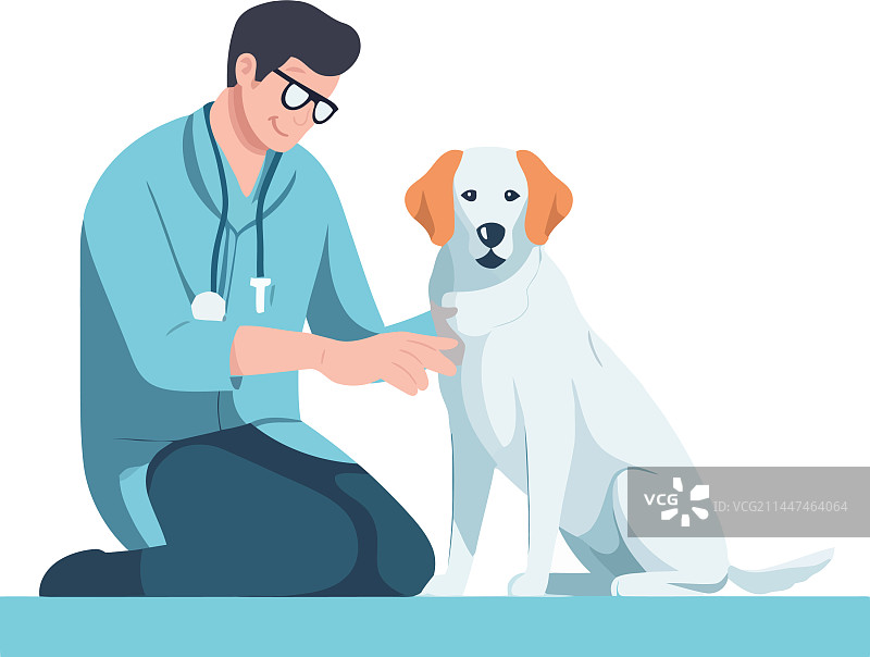 微笑的兽医照顾可爱的小狗图片素材