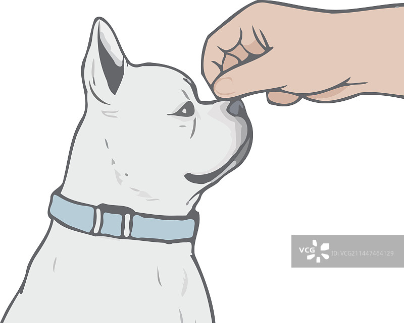 可爱卡通小狗素描：忠实的朋友在观看图片素材