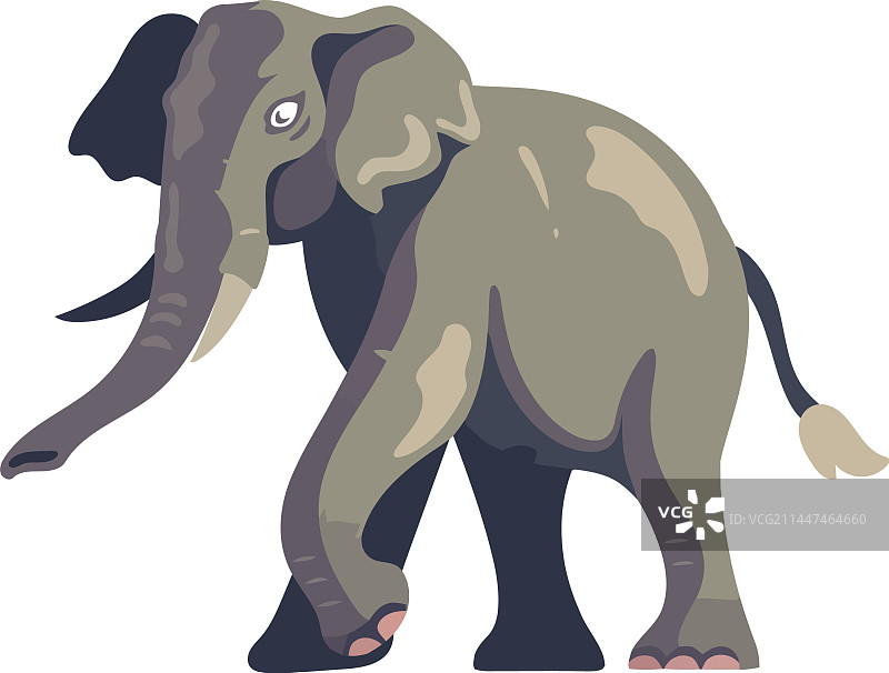 可爱的大象走路图片素材