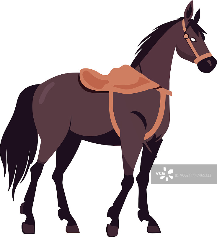 带马鞍和笼头的棕色马图片素材