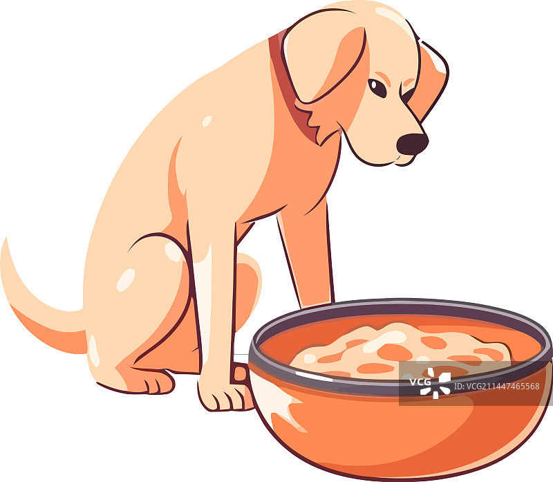 快乐的小狗坐着吃午饭图片素材