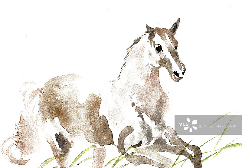 奔腾的骏马图片素材