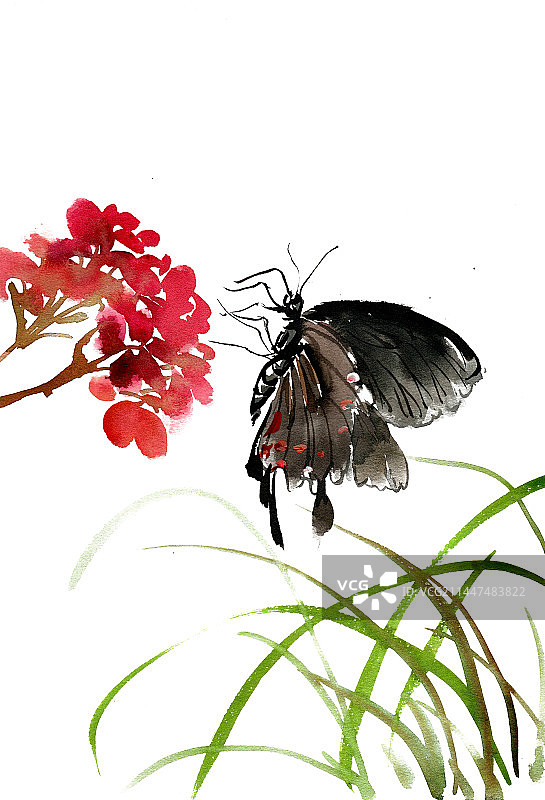 黑色的蝴蝶图片素材