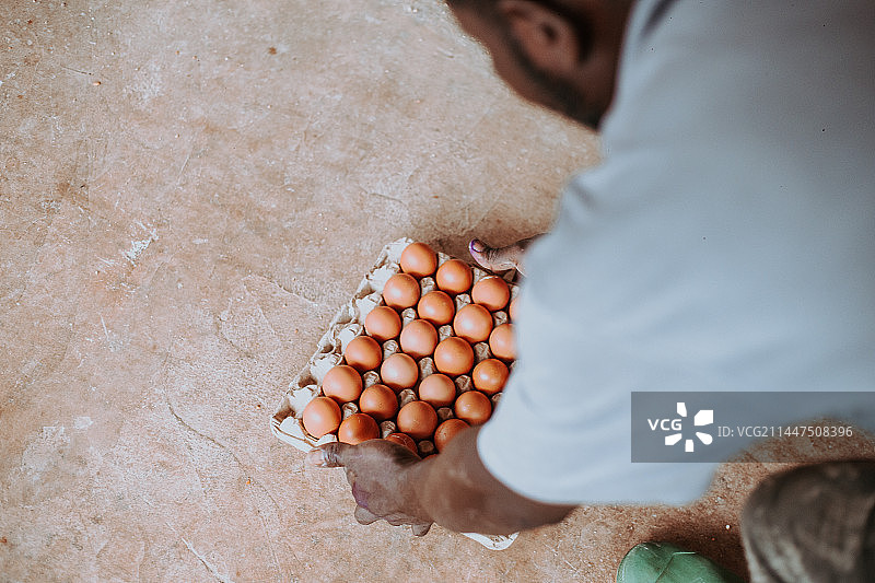 在加纳阿克拉的农场里，从鸡舍里捡鸡蛋的年轻黑人男子特写图片素材