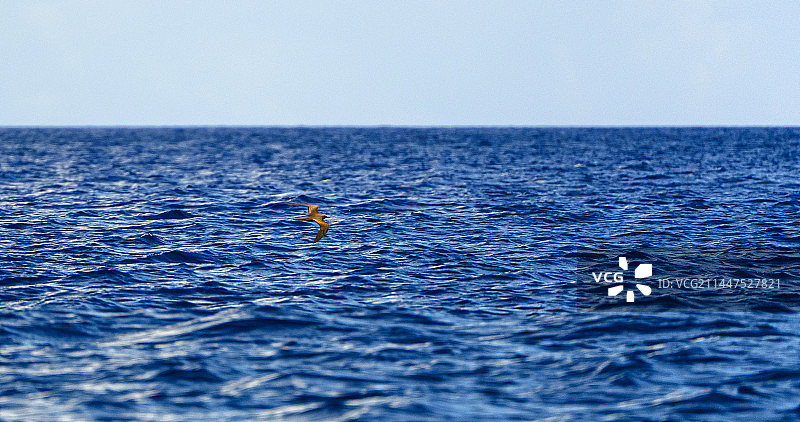 太平洋上的航行图片素材