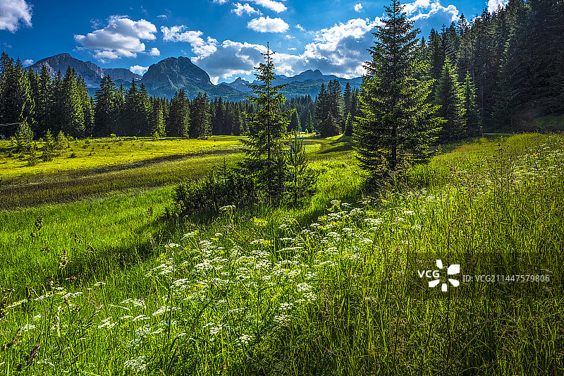 黑山杜米托尔国家公园图片素材