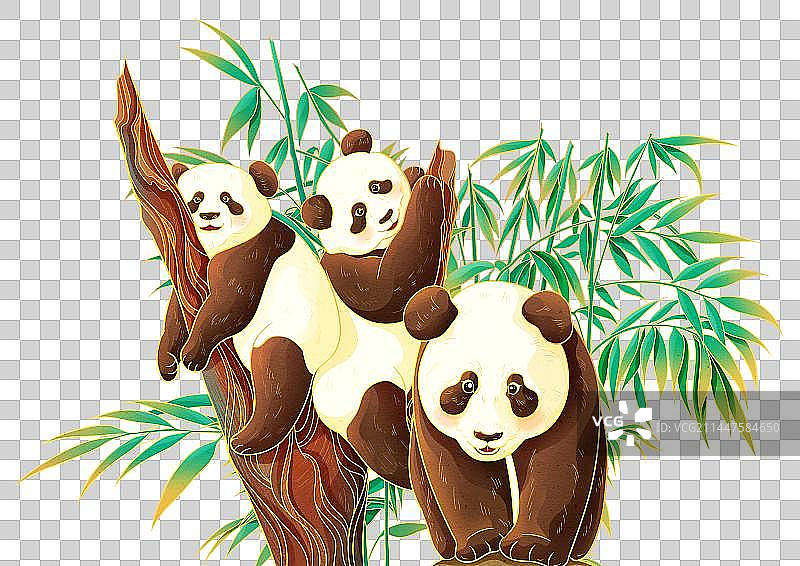 四川大熊猫图片素材