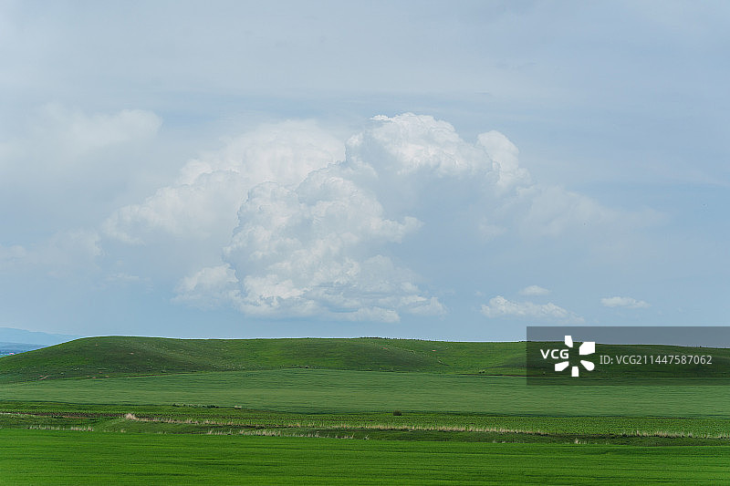 新疆伊犁的大草原图片素材