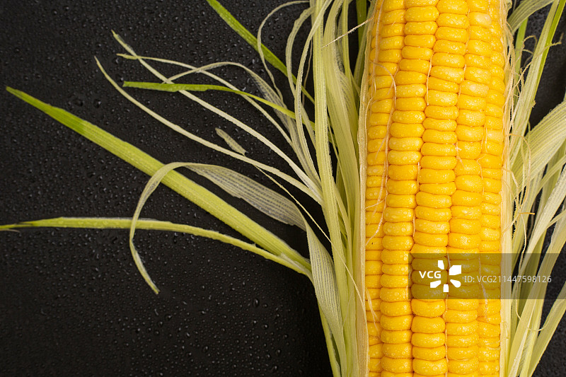黑色背景，新鲜玉米图片素材