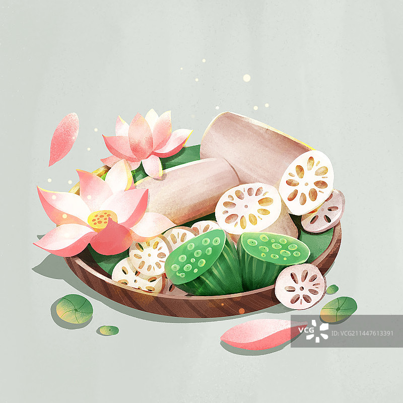 莲花莲藕莲蓬夏日插画图片素材