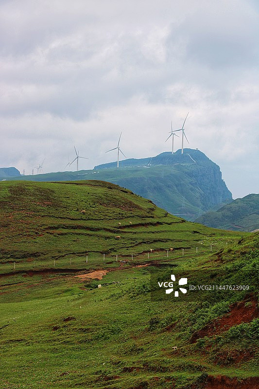 乌蒙大草原图片素材
