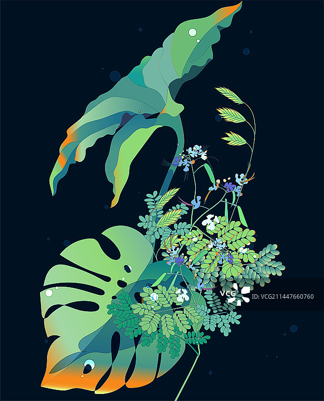 亚马孙雨林热带植物花卉图片素材