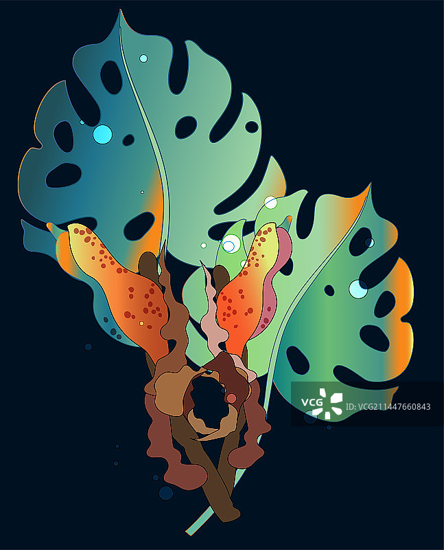 亚马孙雨林热带植物花卉图片素材