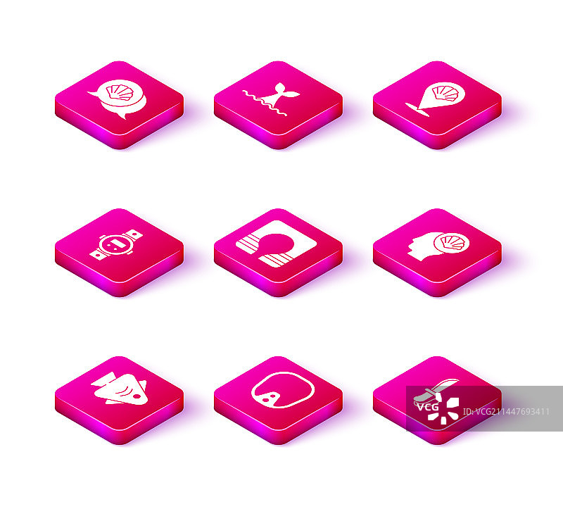 鱼、潜水面罩、手表、救生衣、刀具图片素材