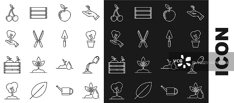 浇水壶、植物、水和树木盆栽套装图片素材