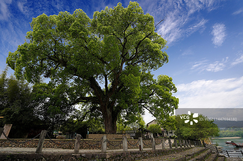 浙江省丽水市莲都区大港头镇古堰画乡风景区图片素材
