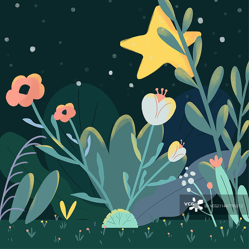 夜晚植物插画图片素材