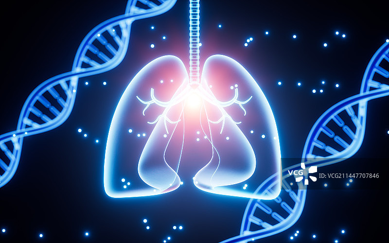 DNA 与人类肺部结构图3D渲染图片素材