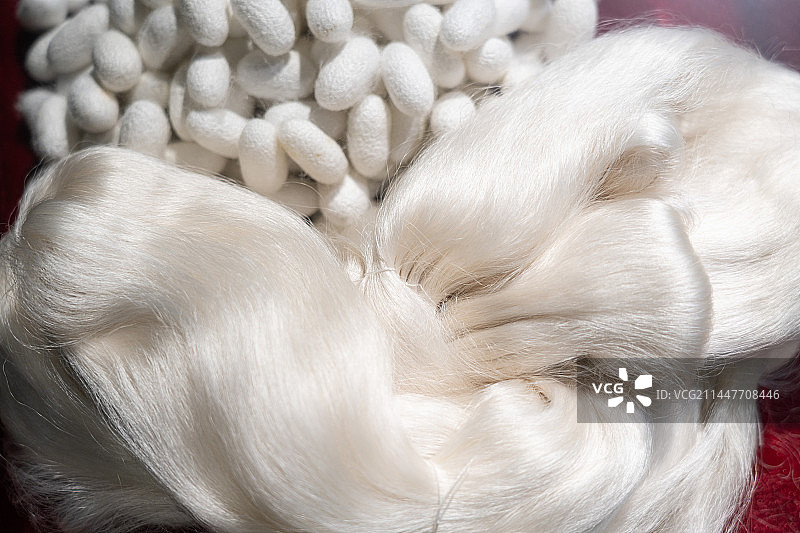 天然蚕茧蚕丝特写图片素材