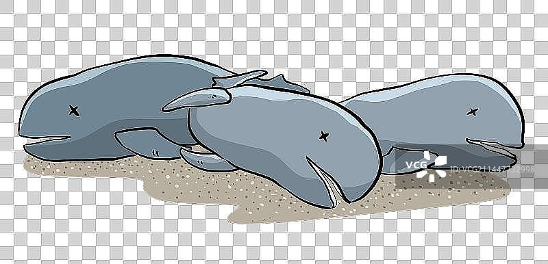 死亡的海豚图片素材