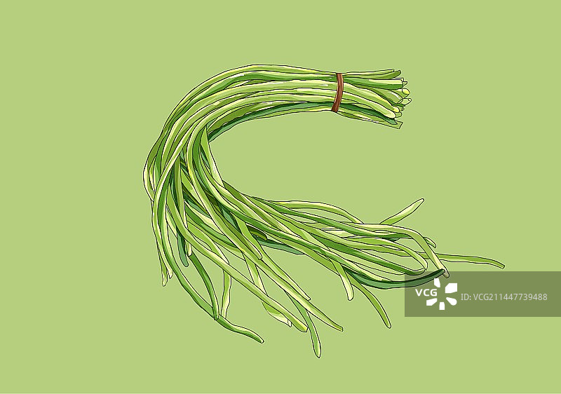 夏至节气蔬菜插画豆角图片素材