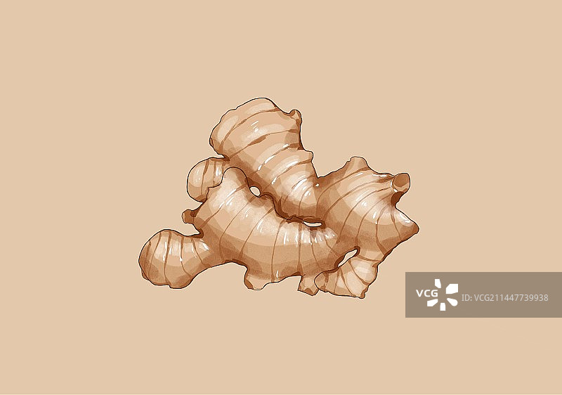 小寒节气蔬菜插画生姜图片素材