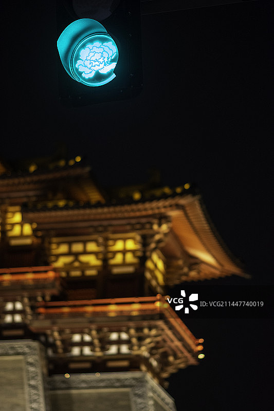 洛阳牡丹花红绿灯夜景图片素材