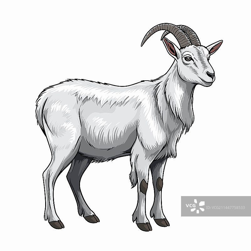 手绘涂鸦风格卡通山羊图片素材