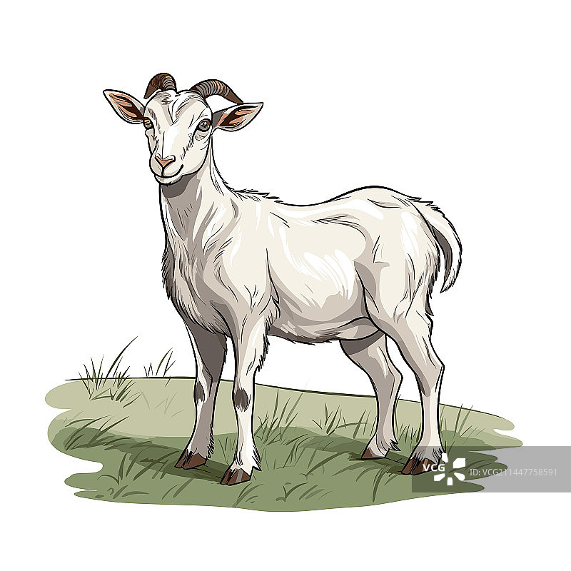 手绘涂鸦风格卡通山羊图片素材
