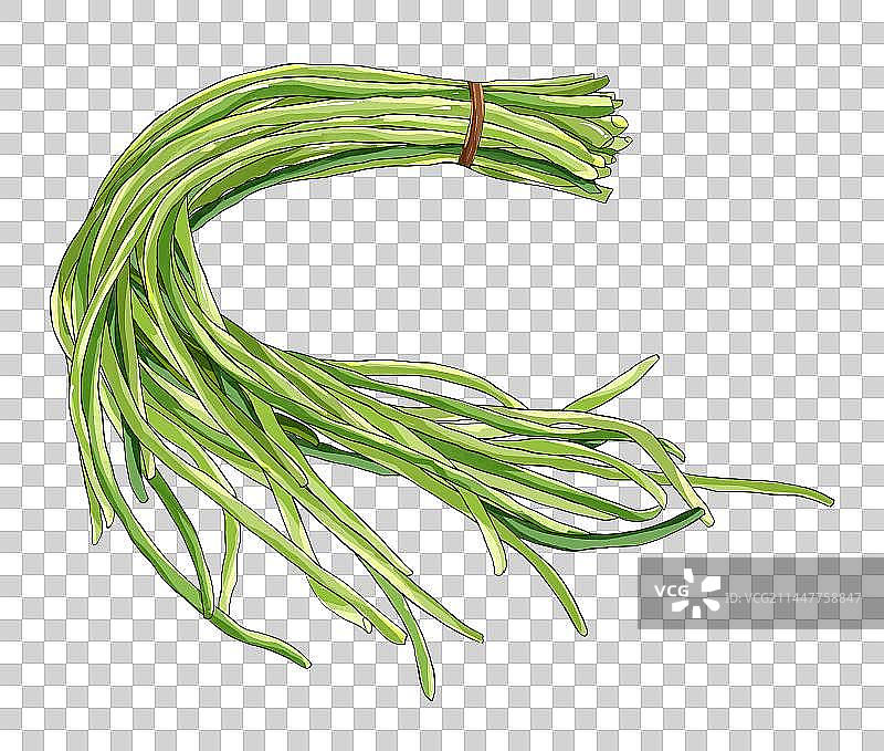 夏至节气蔬菜插画豆角免扣元素图片素材