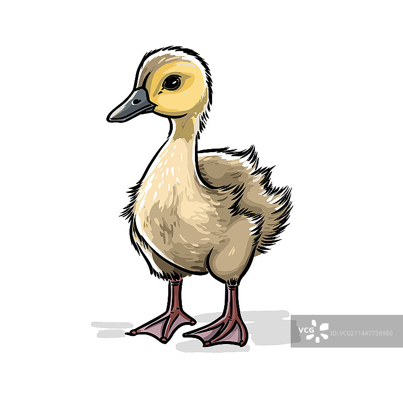 手绘风格小鹅卡通图片素材