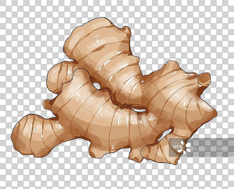 小寒节气蔬菜插画生姜免扣元素图片素材