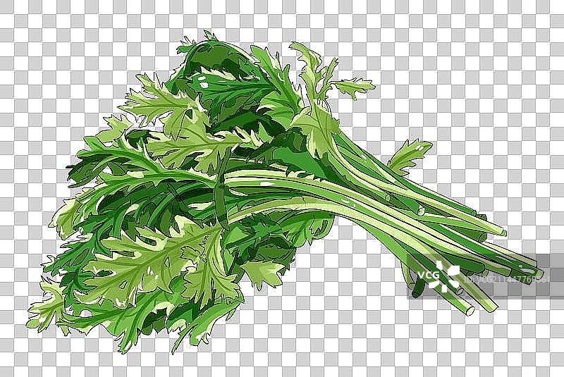 立秋节气蔬菜插画茼蒿免扣元素图片素材