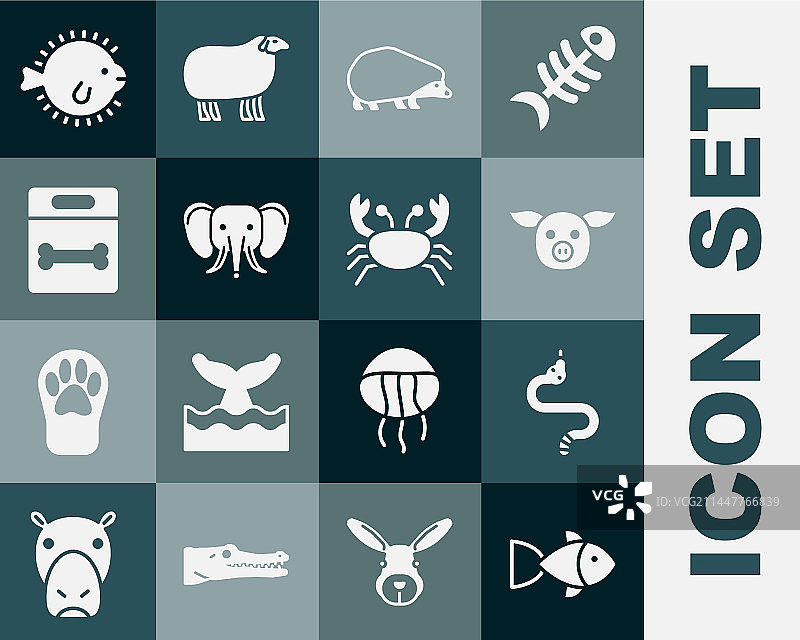 鱼、蛇、猪、刺猬、大象、狗、骨头组合图片素材