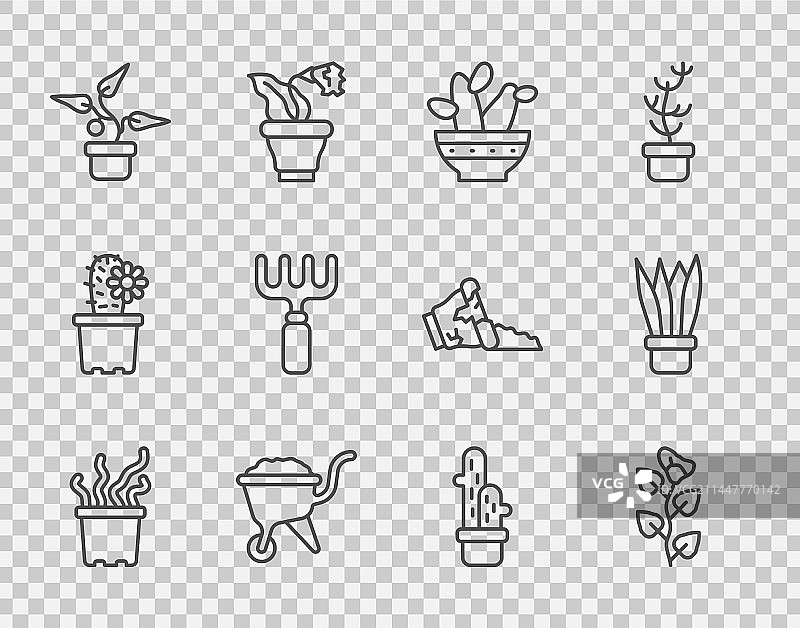 盆栽异域热带植物常春藤线条素材图片素材